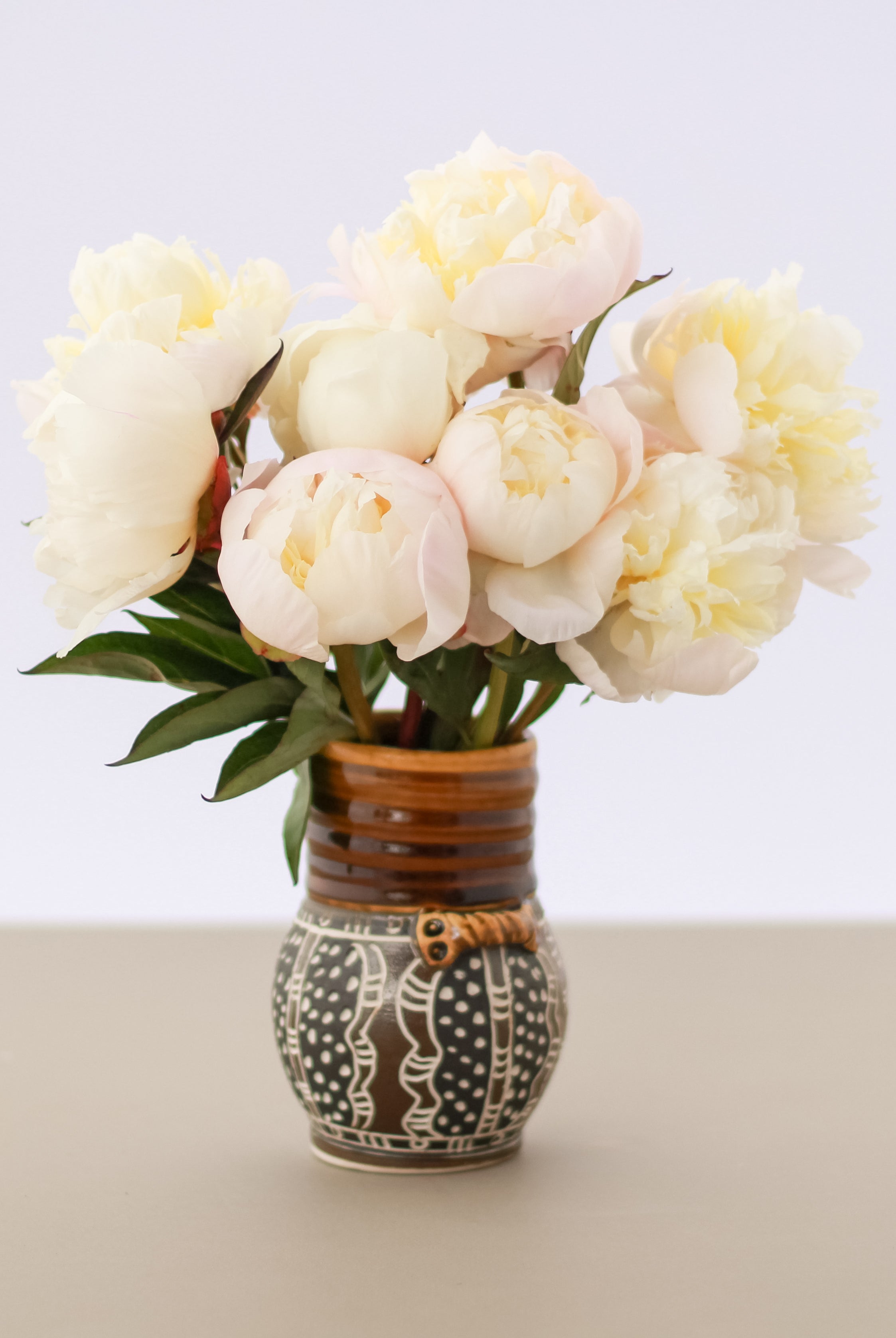Just Amalia Olson - 25 Stems-Flower Box-Alaska Beauty Peony Coop-Alaska Beauty Peony Coop