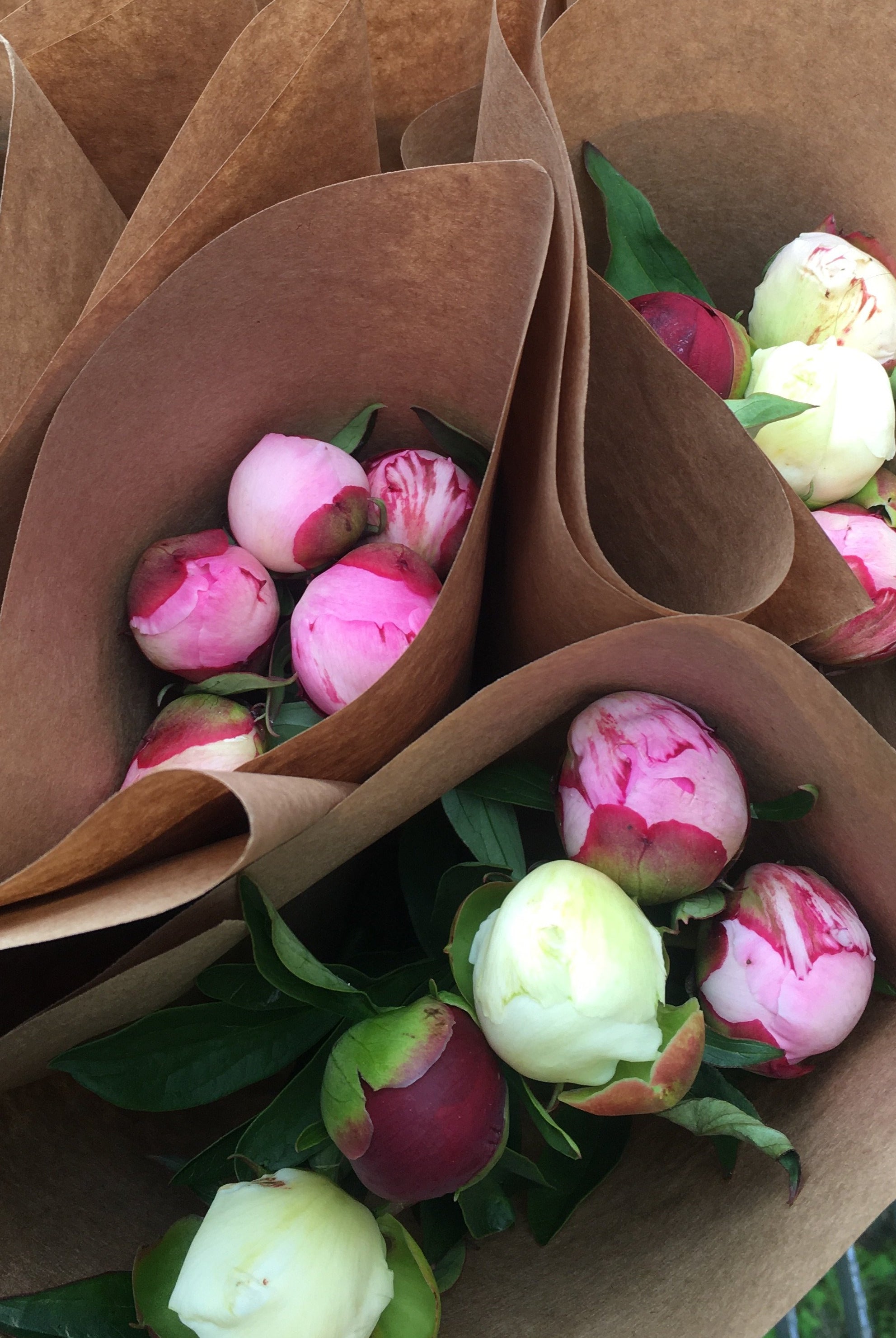 Farmer's Choice Bunch | Homer Pick-Up Only-Flowers-Alaska Beauty Peony Coop-July 17-Pick Up-Alaska Beauty Peony Coop