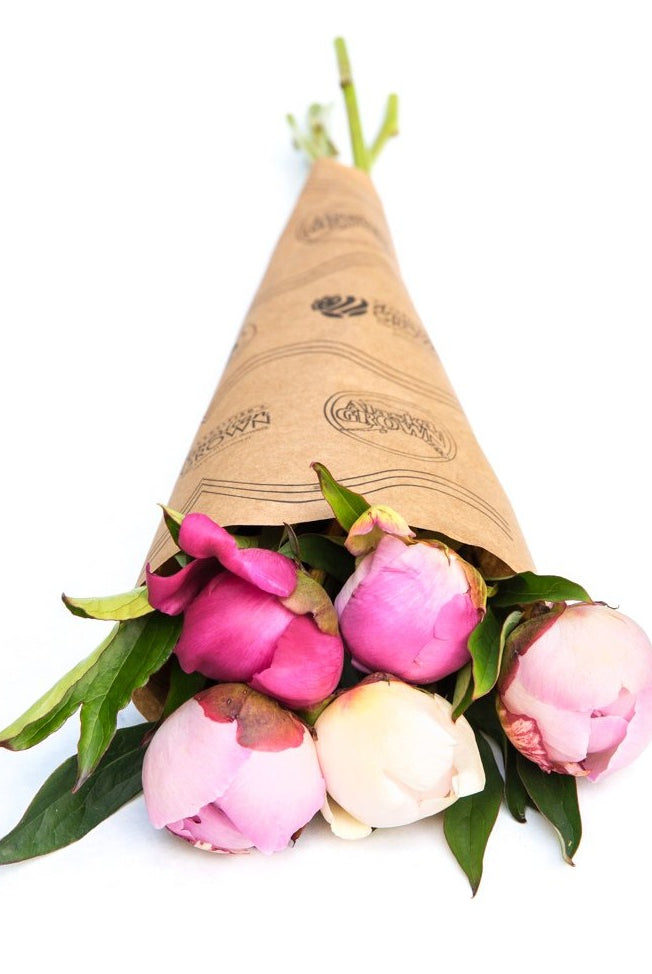 Farmer's Choice Bunch | Homer Pick-Up Only-Flowers-Alaska Beauty Peony Coop-July 17-Pick Up-Alaska Beauty Peony Coop