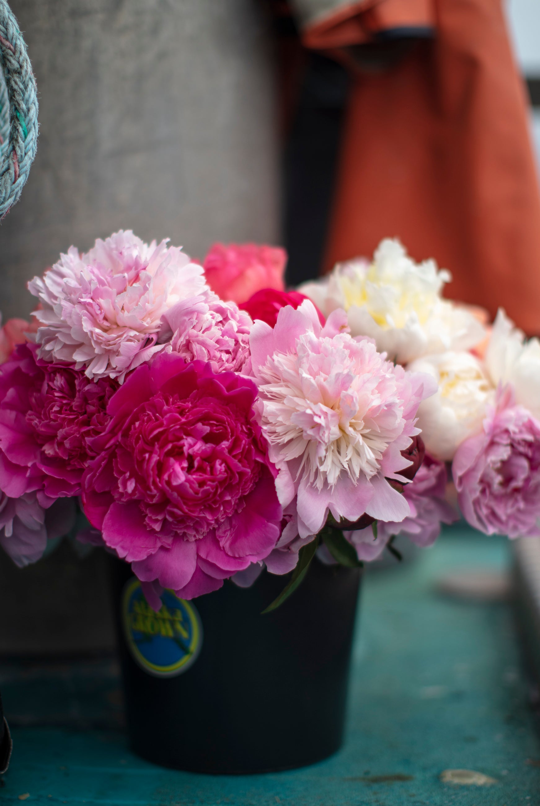 Buckets of Joy! | Homer Pick-up Only-Flowers-Alaska Beauty Peony Coop-13-Firm Buds (will open slowly)-Yes-Alaska Beauty Peony Coop