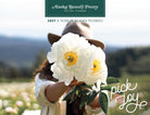 2027 Peony Calendar-Stationary-Alaska Beauty Peony Coop-Alaska Beauty Peony Coop