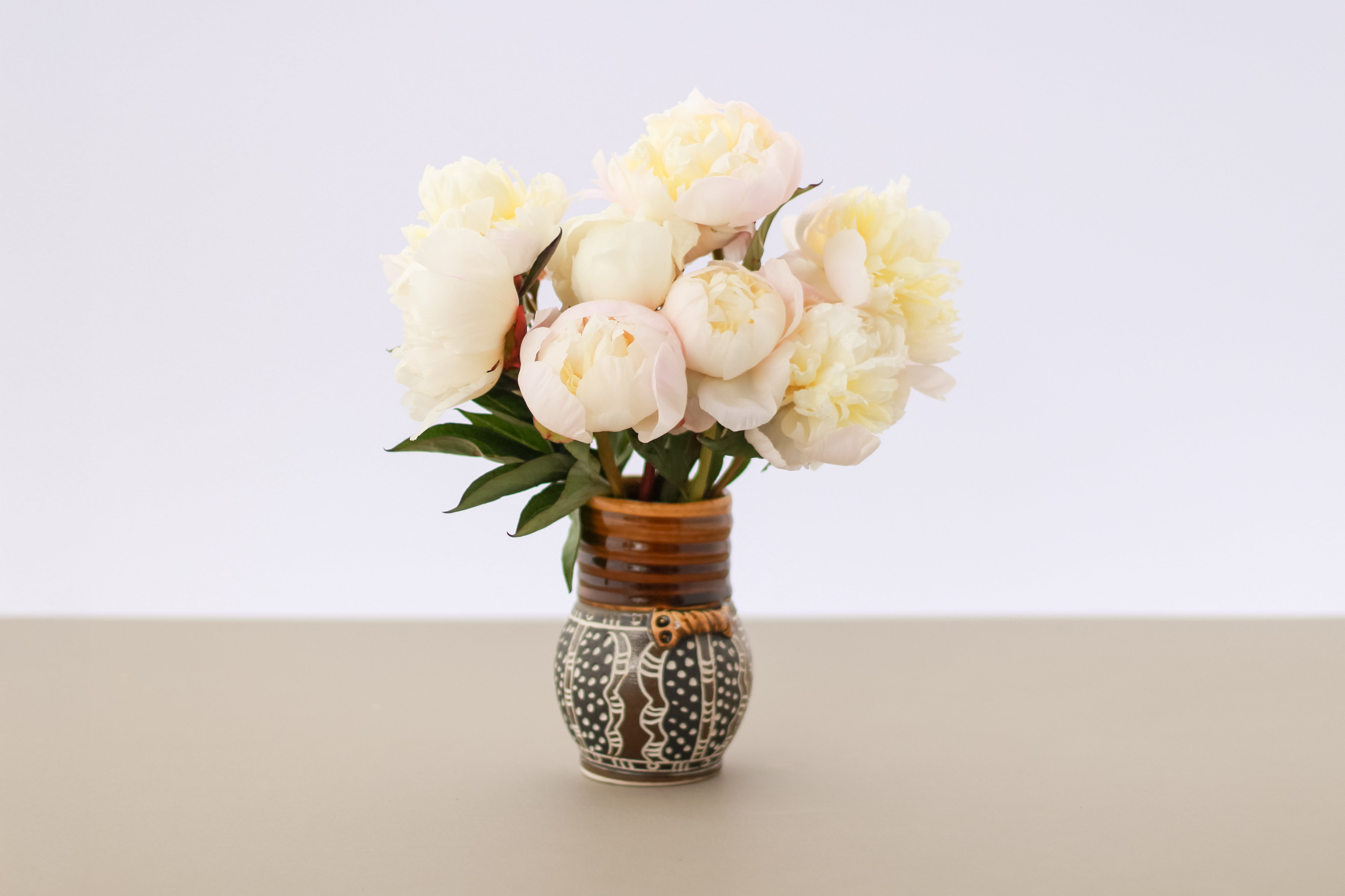 Just Amalia Olson - 25 Stems-Flower Box-Alaska Beauty Peony Coop-Alaska Beauty Peony Coop