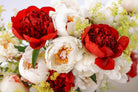 Summer Dream - 13 Stems-Flower Box-Alaska Beauty Peony Coop-Alaska Beauty Peony Coop