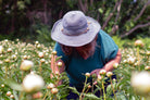 2026 Farm Tours-Event-Alaska Beauty Peony Coop-July 4-Alaska Beauty Peony Coop