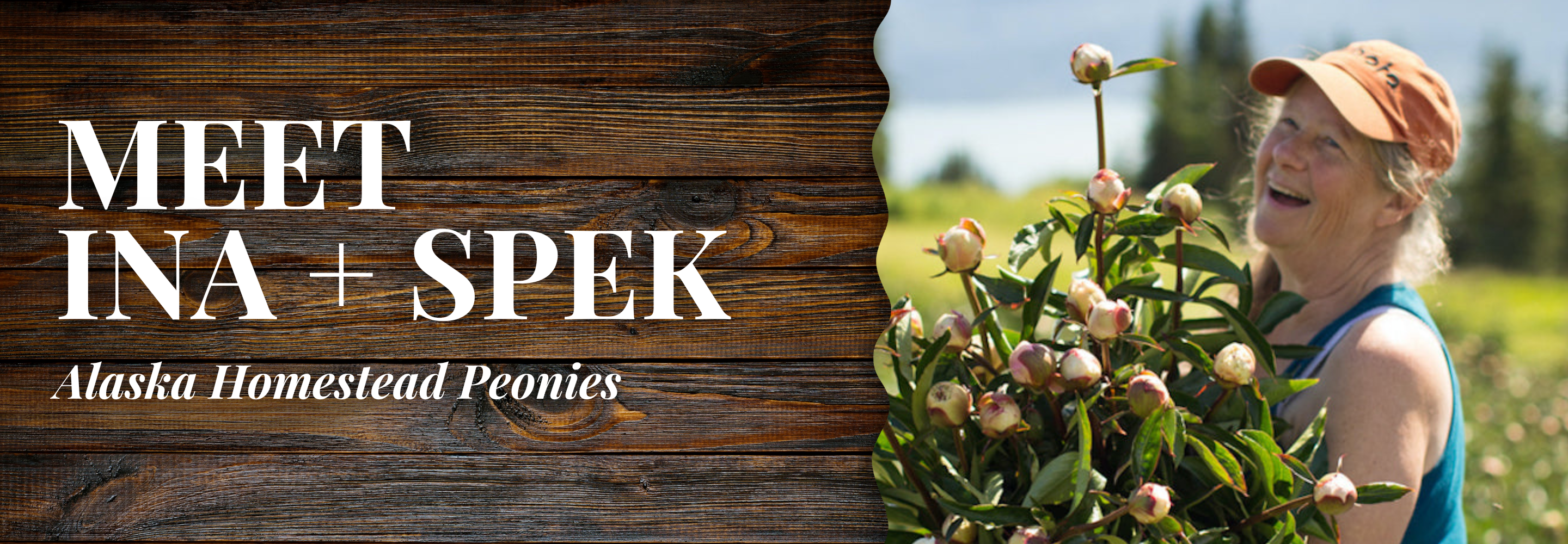 Alaska Homestead Peonies | Ina + Spek | Blog Banner | Alaska Beauty Peony Cooperative | Homer, AK