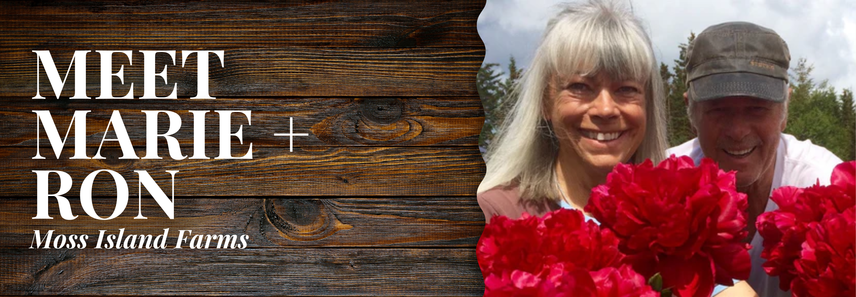 Moss Island Farms // Marie + Ron | Desktop Blog Banner | Alaska Beauty Peony Cooperative | Homer, AK
