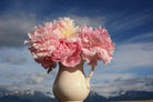 Spread Joy Box-Flower Box-Alaska Beauty Peony Coop-20 Stems-Alaska Beauty Peony Coop