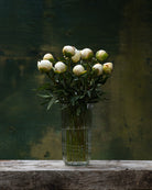 White Peony Box - 50 Stems-Flower Box-Alaska Beauty Peony Coop-Alaska Beauty Peony Coop
