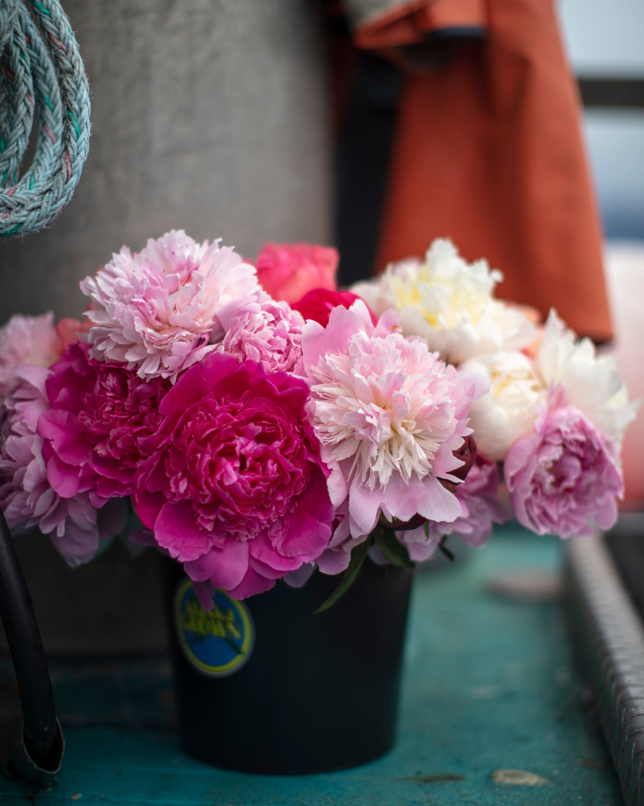 Buckets of Joy! | Homer Pick-up Only-Flowers-Alaska Beauty Peony Coop-13-Firm Buds (will open slowly)-Yes-Alaska Beauty Peony Coop