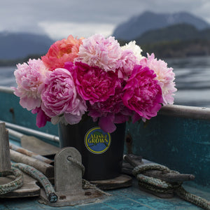 
                  
                    Load image into Gallery viewer, Subscription | Homer Pick-Up Only
                  
                